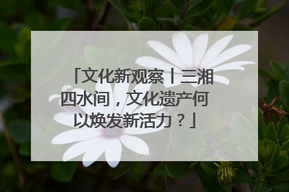 文化新观察丨三湘四水间，文化遗产何以焕发新活力？