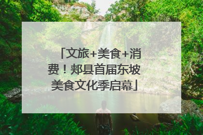 文旅+美食+消费！郏县首届东坡美食文化季启幕