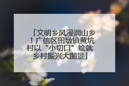 文明乡风浸润山乡！广信区田墩镇黄坑村以“小切口”绘就乡村振兴大图景