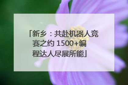 新乡：共赴机器人竞赛之约 1500+编程达人尽展所能