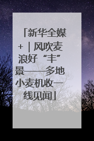 新华全媒+｜风吹麦浪好“丰”景——多地小麦机收一线见闻
