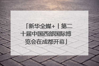 新华全媒+丨第二十届中国西部国际博览会在成都开幕