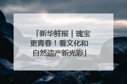 新华鲜报｜瑰宝更青春！看文化和自然遗产新光彩