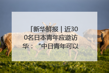 新华鲜报｜近300名日本青年应邀访华：“中日青年可以创造更好的未来”