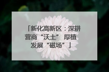 新化高新区：深耕营商“沃土” 厚植发展“磁场”
