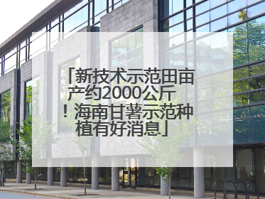 新技术示范田亩产约2000公斤！海南甘薯示范种植有好消息