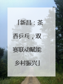 新昌：茶香乒乓，双赛联动赋能乡村振兴