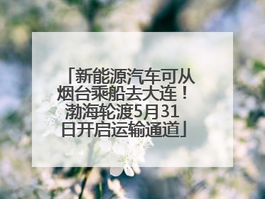 新能源汽车可从烟台乘船去大连！渤海轮渡5月31日开启运输通道