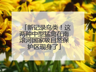 新记录鸟类！这两种中型猛禽在南滚河国家级自然保护区现身了