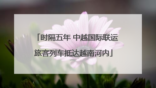 时隔五年 中越国际联运旅客列车抵达越南河内