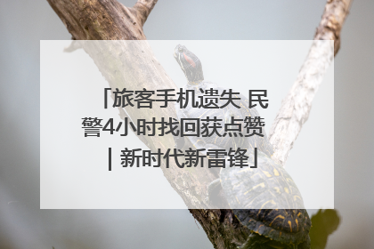 旅客手机遗失 民警4小时找回获点赞｜新时代新雷锋