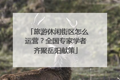 旅游休闲街区怎么运营？全国专家学者齐聚岳阳献策