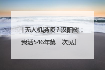 无人机浇顶？汉阳树：我活546年第一次见