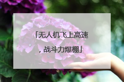 无人机飞上高速，战斗力爆棚