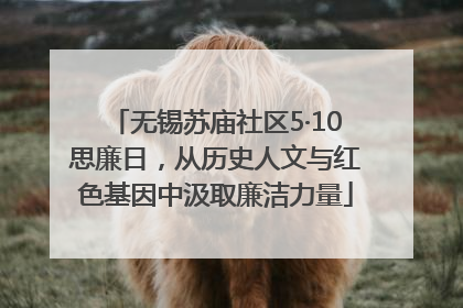 无锡苏庙社区5·10思廉日，从历史人文与红色基因中汲取廉洁力量
