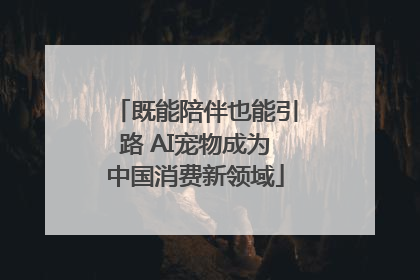 既能陪伴也能引路 AI宠物成为中国消费新领域