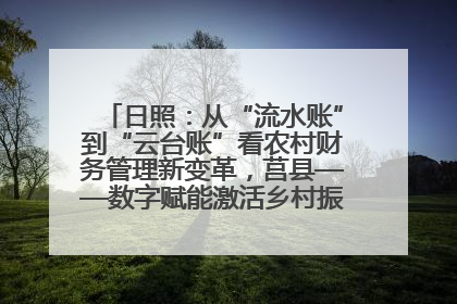 日照：从“流水账”到“云台账”看农村财务管理新变革，莒县——数字赋能激活乡村振兴“一池春水”