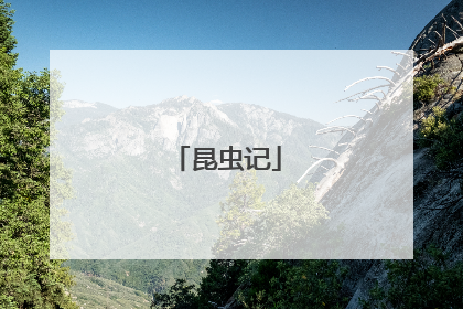 昆虫记
