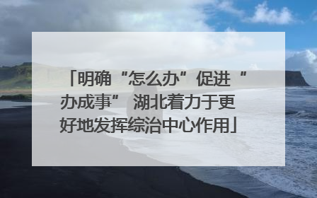 明确“怎么办”促进“办成事” 湖北着力于更好地发挥综治中心作用