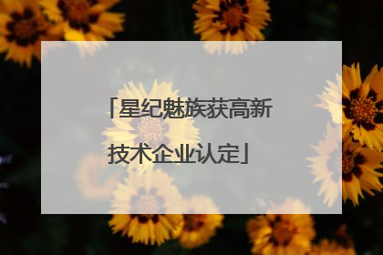 星纪魅族获高新技术企业认定