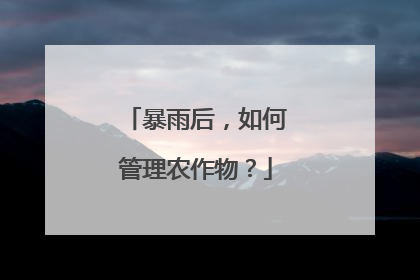 暴雨后，如何管理农作物？