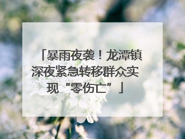 暴雨夜袭！龙潭镇深夜紧急转移群众实现“零伤亡”