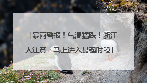 暴雨警报！气温猛跌！浙江人注意：马上进入最强时段