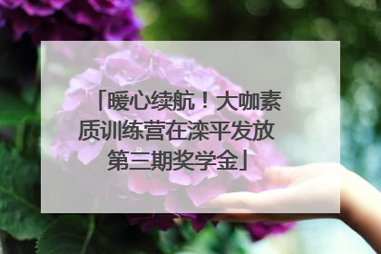 暖心续航！大咖素质训练营在滦平发放第三期奖学金