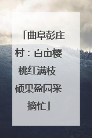 曲阜彭庄村：百亩樱桃红满枝 硕果盈园采摘忙