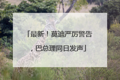 最新！莫迪严厉警告，巴总理同日发声