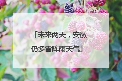 未来两天，安徽仍多雷阵雨天气