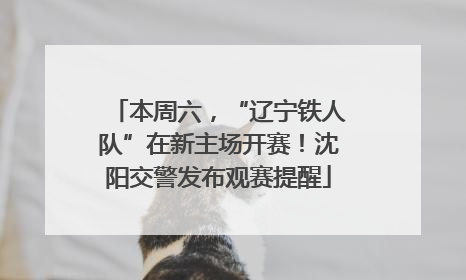 本周六，“辽宁铁人队”在新主场开赛！沈阳交警发布观赛提醒