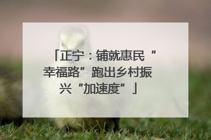 正宁：铺就惠民“幸福路”跑出乡村振兴“加速度”