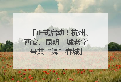 正式启动！杭州、西安、昆明三城老字号共“舞”春城