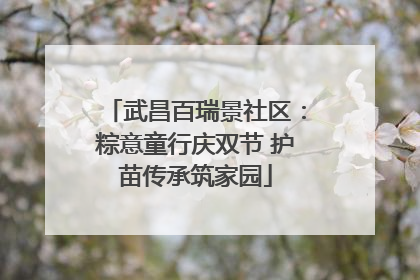 武昌百瑞景社区：粽意童行庆双节 护苗传承筑家园