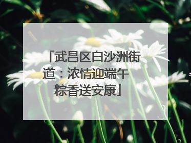 武昌区白沙洲街道：浓情迎端午 粽香送安康