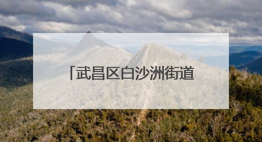 武昌区白沙洲街道：趣味运动“点燃”居民健身热情