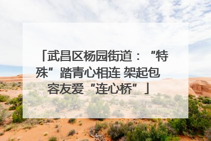 武昌区杨园街道：“特殊”踏青心相连 架起包容友爱“连心桥”