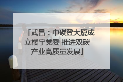 武昌：中碳登大厦成立楼宇党委 推进双碳产业高质量发展