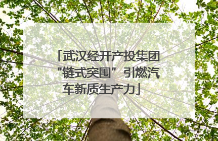 武汉经开产投集团“链式突围”引燃汽车新质生产力