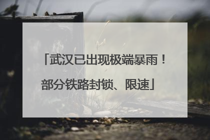 武汉已出现极端暴雨！部分铁路封锁、限速
