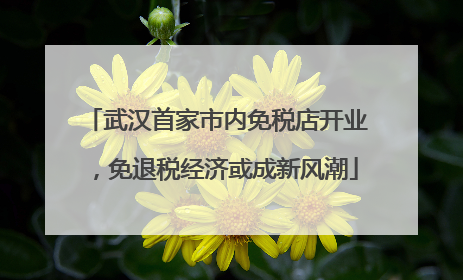 武汉首家市内免税店开业，免退税经济或成新风潮