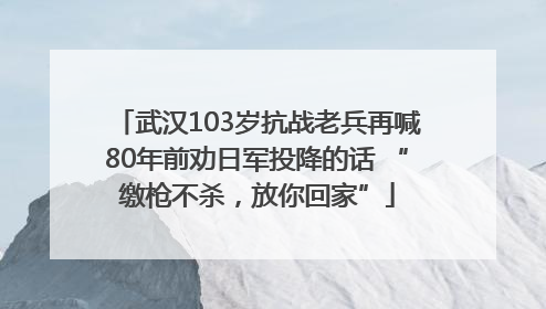 武汉103岁抗战老兵再喊80年前劝日军投降的话 “缴枪不杀，放你回家”