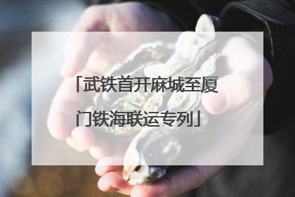 武铁首开麻城至厦门铁海联运专列