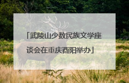 武陵山少数民族文学座谈会在重庆酉阳举办