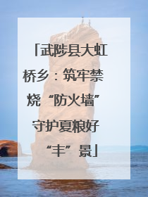 武陟县大虹桥乡：筑牢禁烧“防火墙” 守护夏粮好“丰”景