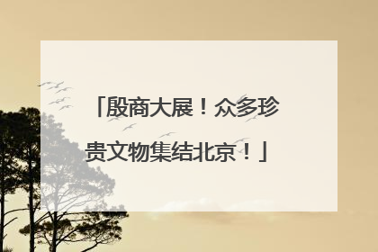 殷商大展！众多珍贵文物集结北京！