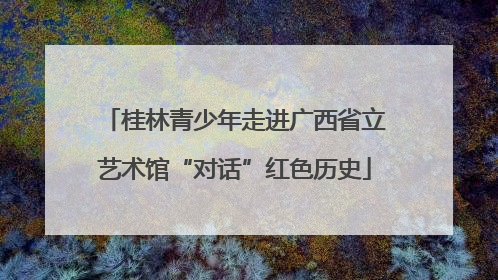 桂林青少年走进广西省立艺术馆“对话”红色历史