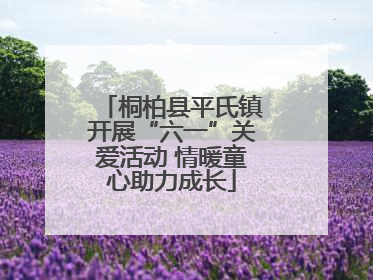 桐柏县平氏镇开展“六一”关爱活动 情暖童心助力成长