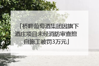 桥畔葡萄酒集团因旗下酒庄项目未经消防审查擅自施工被罚3万元